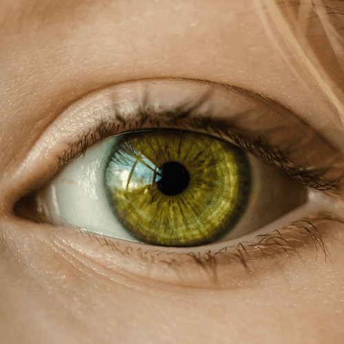 What To Do To Maintain Healthy Eyes hero image