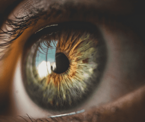 10 Facts About Your Eyes hero image